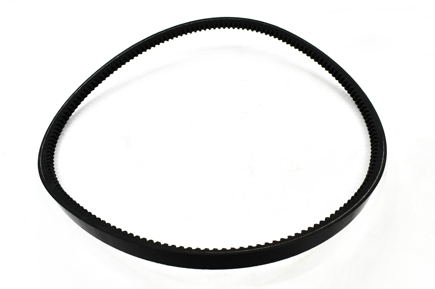 FS Curtis Belt Replacement - 2113019976