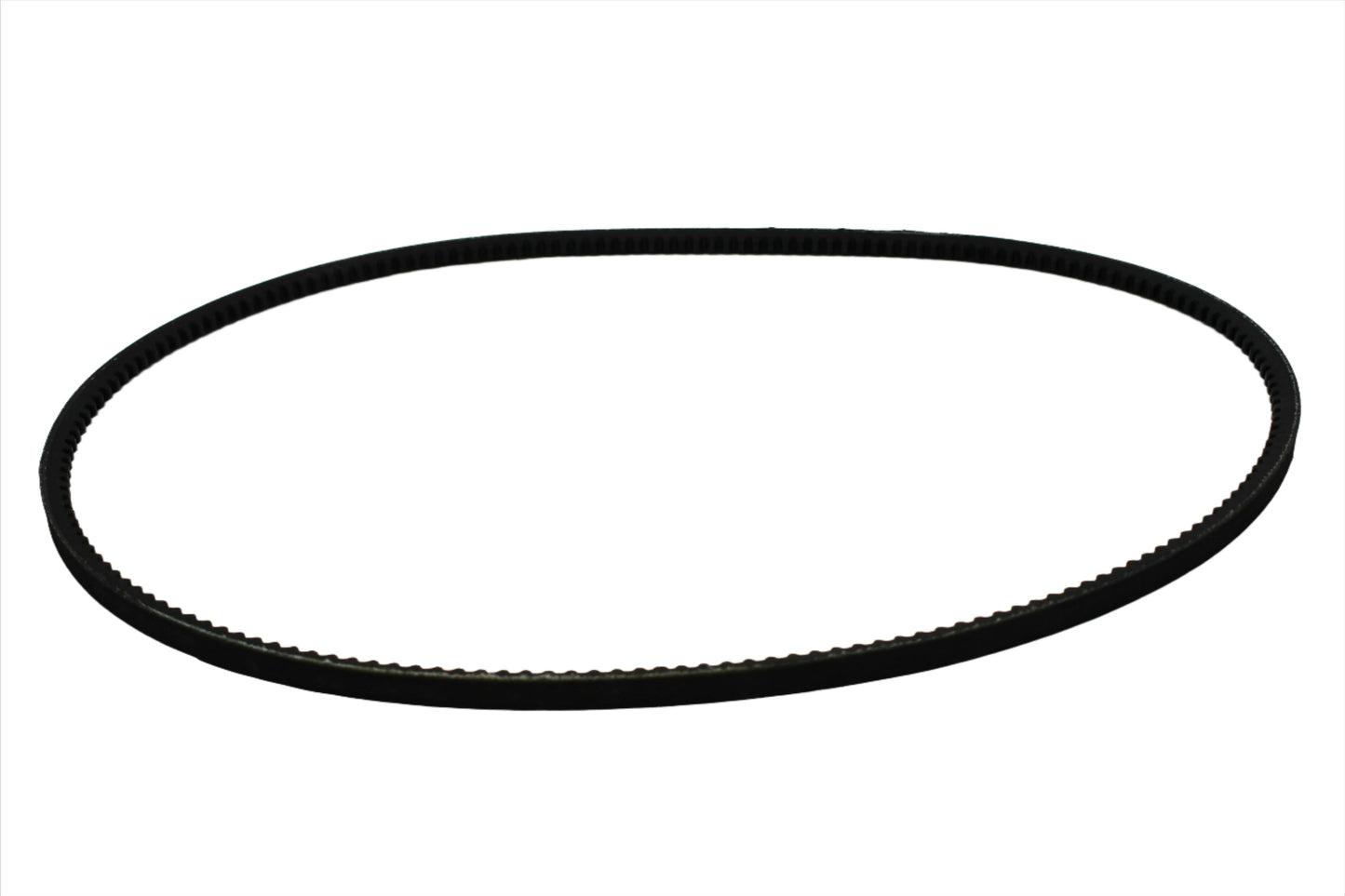 Quincy Belt Replacement - 2204155605